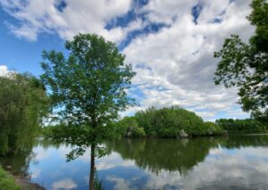 Dollard-Des-Ormeaux Parks